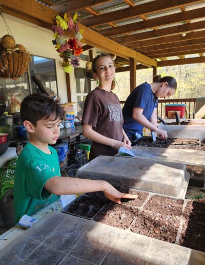Kids helping out planting starters