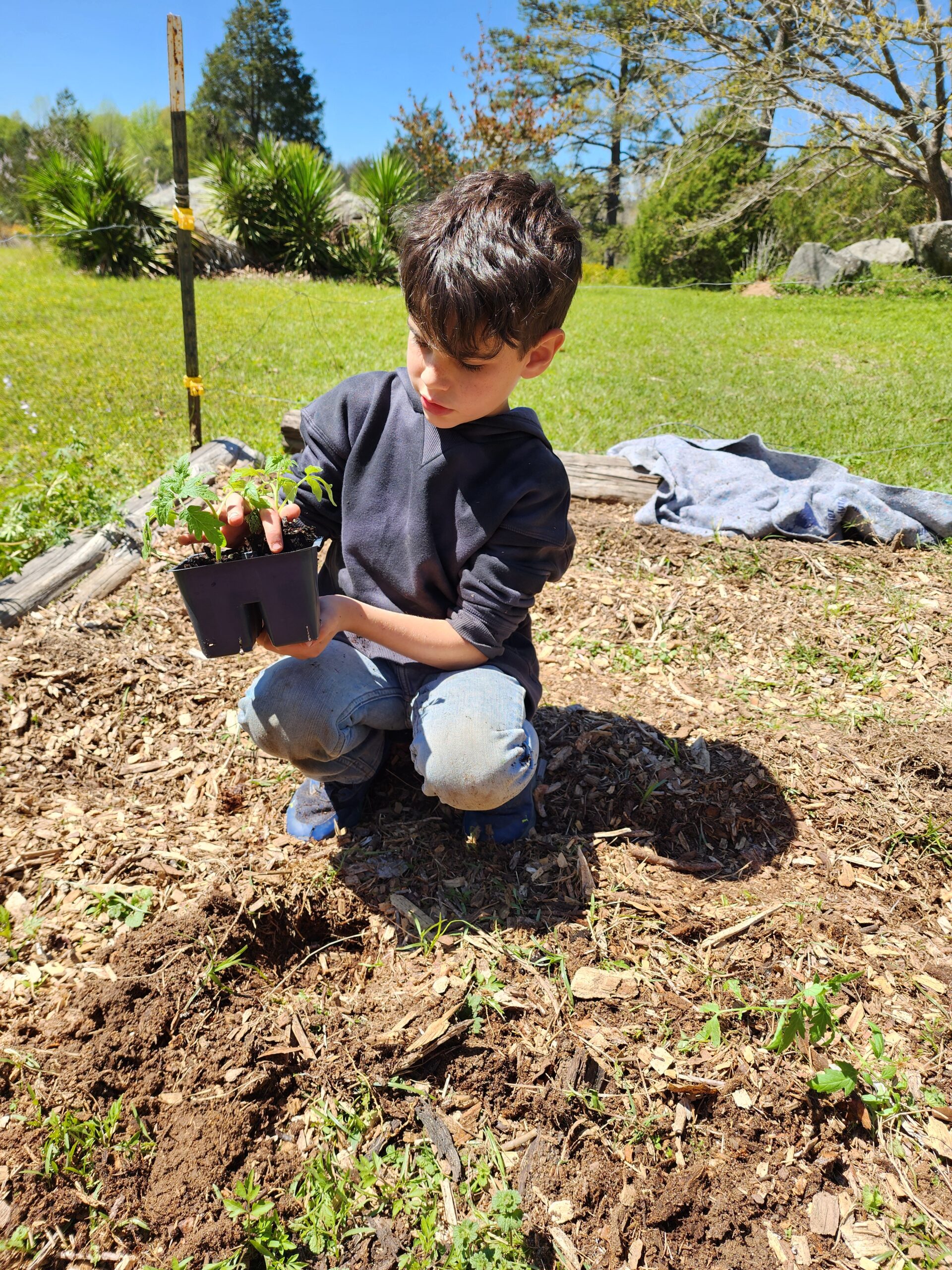 Boy farming vegetables